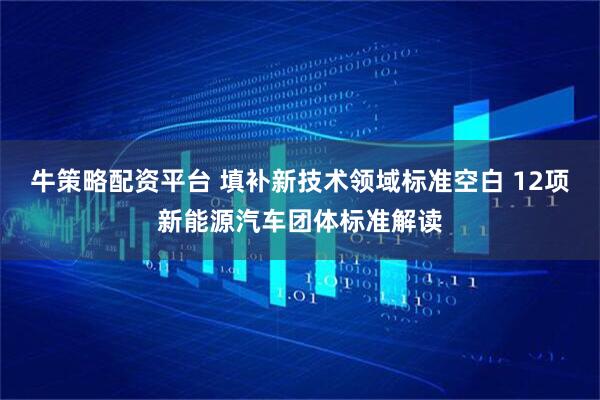 牛策略配资平台 填补新技术领域标准空白 12项新能源汽车团体标准解读