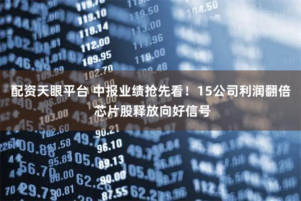 配资天眼平台 中报业绩抢先看！15公司利润翻倍 芯片股释放向好信号